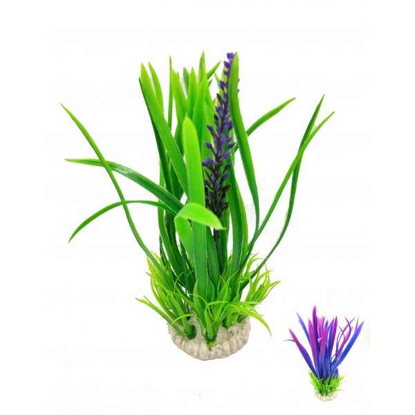 ΔΙΑΚΟΣΜΗΤΙΚΟ ΦΥΤΟ ΕΝΥΔΡΕΙΟΥ